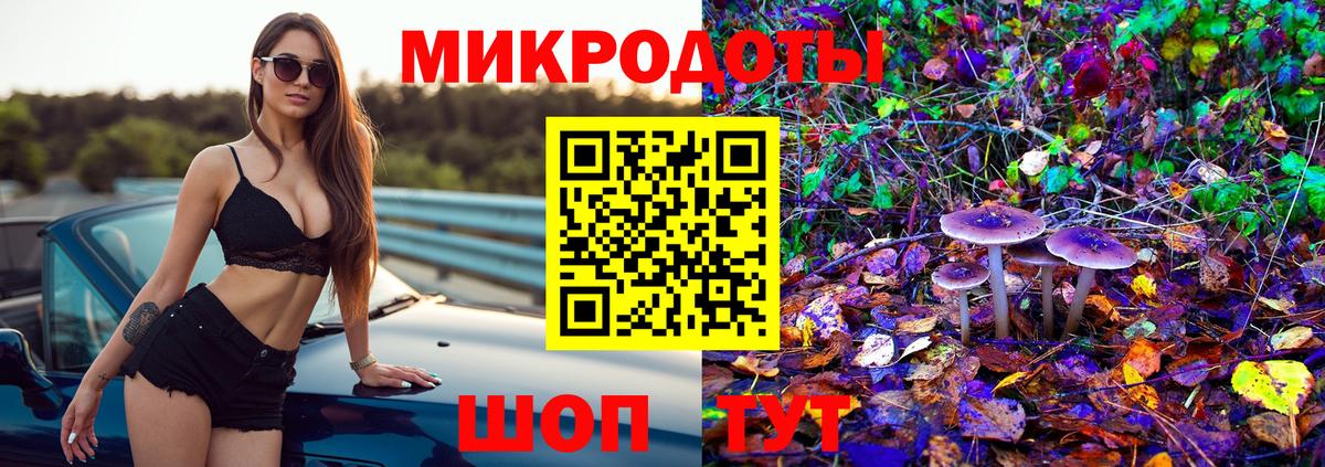 Псилоцибиновые грибы Psilocybe Люберцы