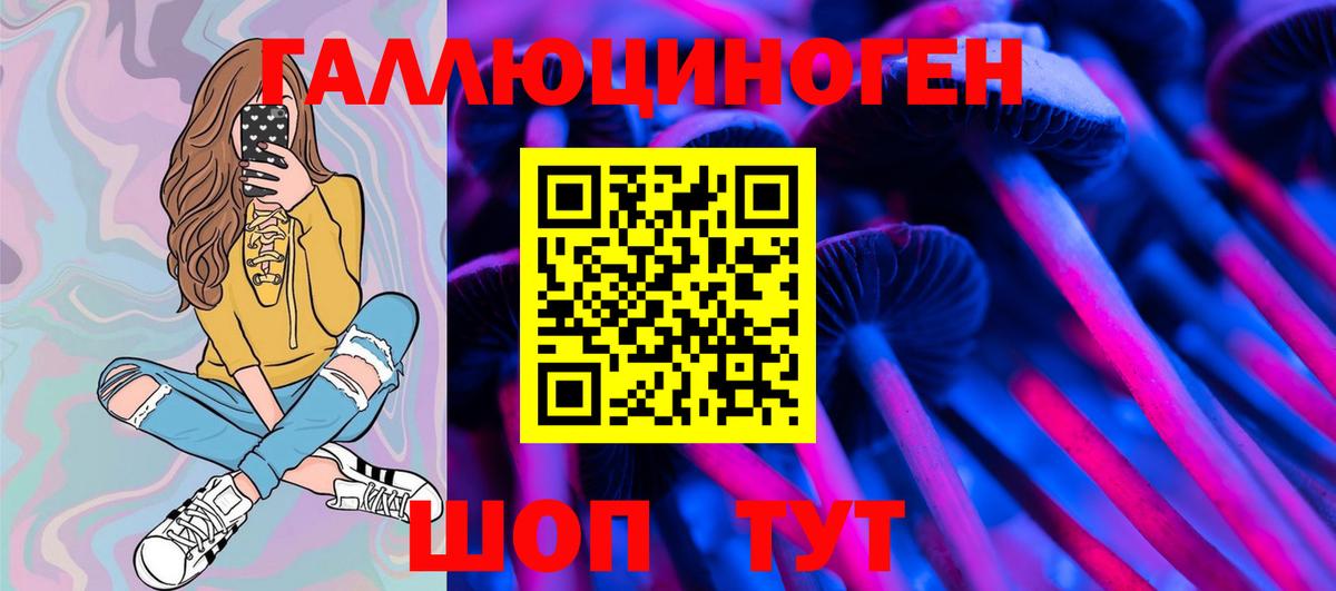 Люберцы  купить  сайты  Вход с VPN  Псилоцибиновые грибы Cubensis 